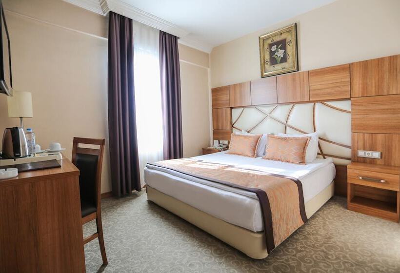 스탠다드 룸, Rumi