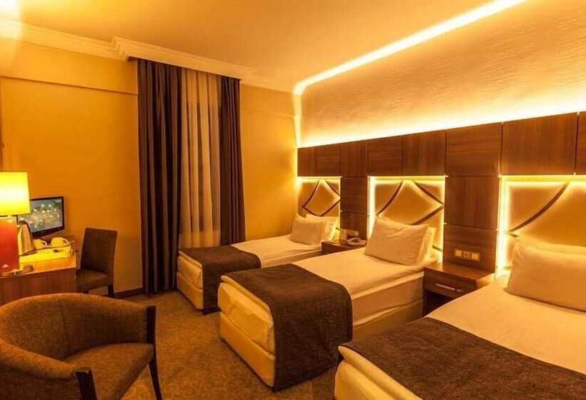 스탠다드 트리플 룸, Rumi