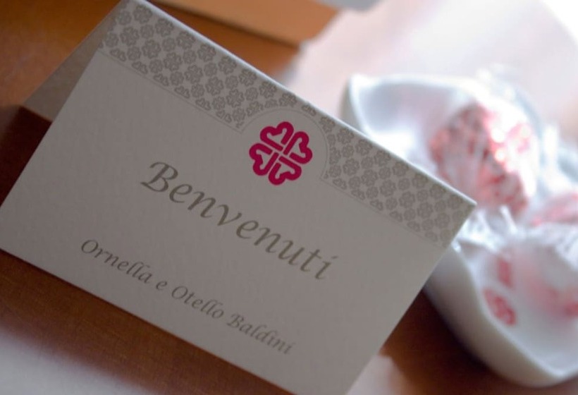 コンフォートルーム, Senb