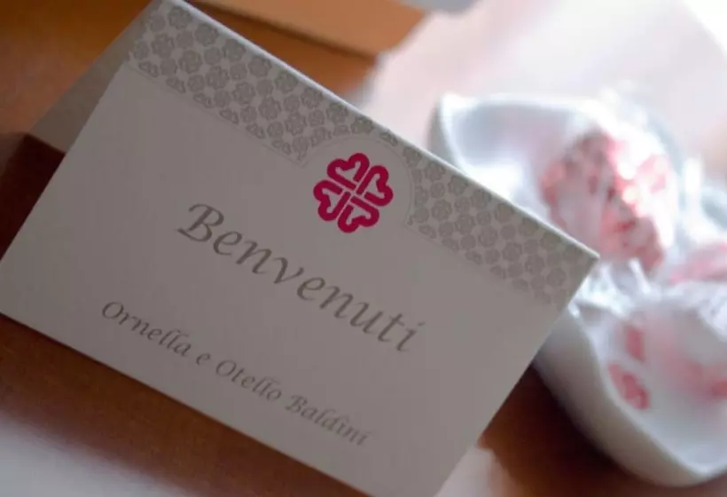 اتاق راحتی, Senb