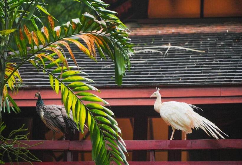 Хижина, Sukantara Cascade Resort And Spa