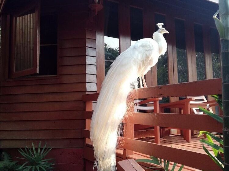 Хижина, Sukantara Cascade Resort And Spa