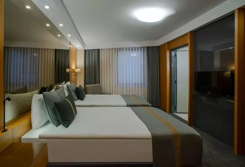 اتاق سوپریور, Tan Hotel Special Category
