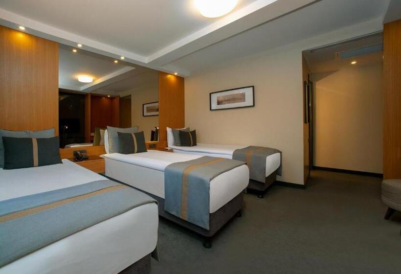 اتاق سوپریور سه تخته, Tan Hotel Special Category