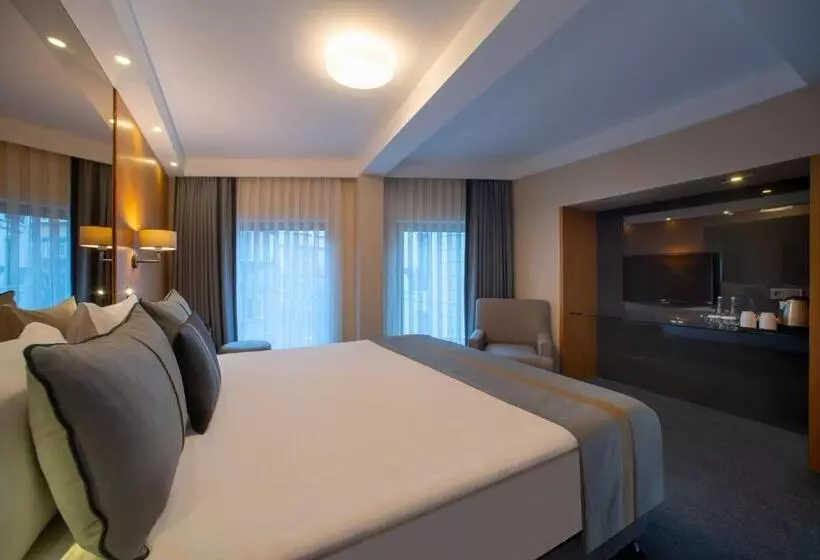 اتاق سوپریور خانوادگی, Tan Hotel Special Category