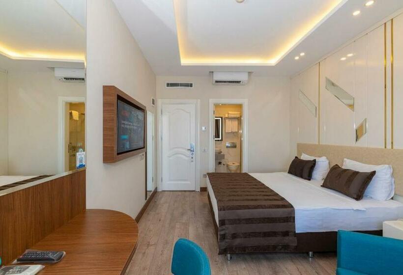 اتاق استاندارد, The Byzantium Suites Hotel & Spa