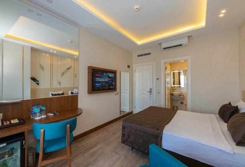 اتاق استاندارد, The Byzantium Suites Hotel & Spa