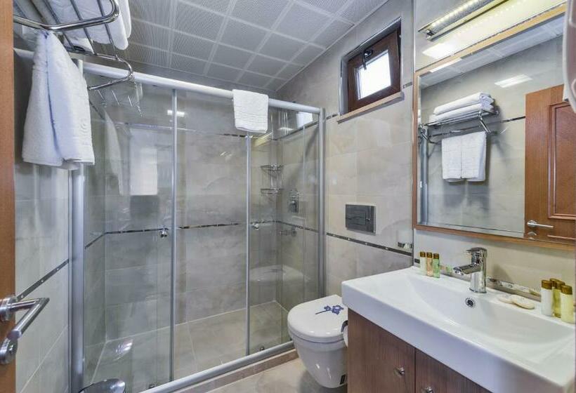 اتاق استاندارد, The Byzantium Suites Hotel & Spa