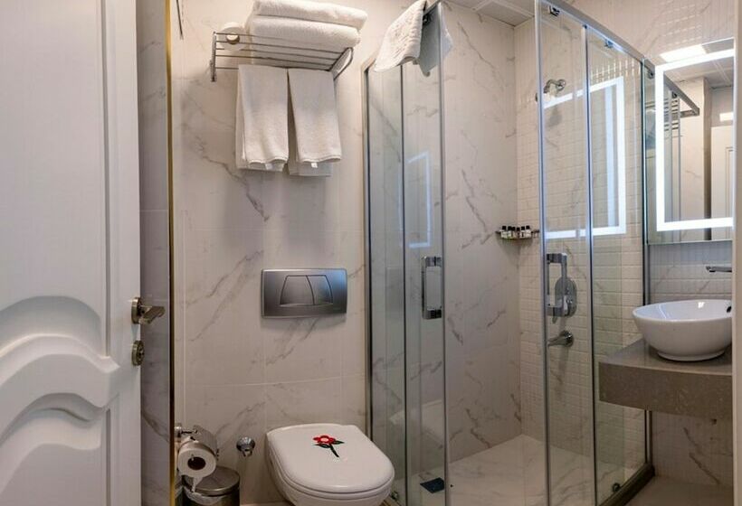 اتاق استاندارد, The Byzantium Suites Hotel & Spa