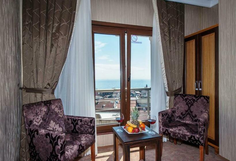 اتاق سوپریور, The Byzantium Suites Hotel & Spa