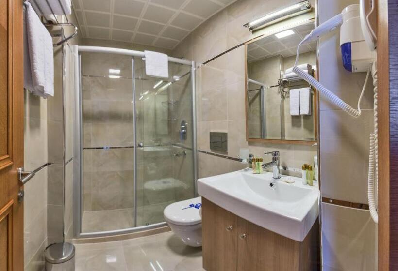 اتاق استاندارد, The Byzantium Suites Hotel & Spa