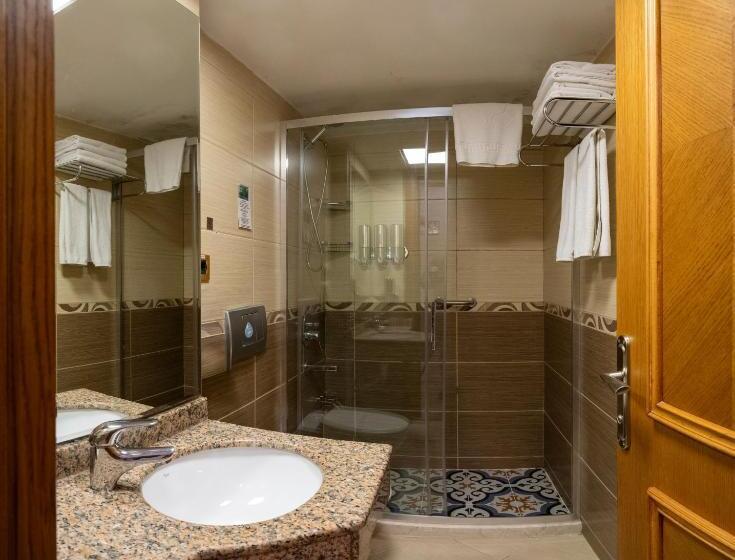 اتاق استاندارد سه نفره, The Byzantium Suites Hotel & Spa