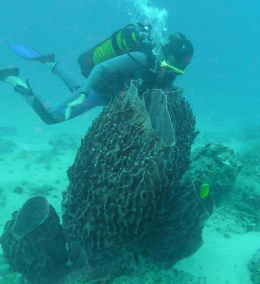 بنگله خانوادگی, Vanivola & Spa