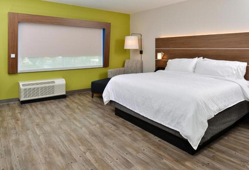 Стандартный Номер Кровать Кинг, Holiday Inn Express Orlando South Park, An Ihg