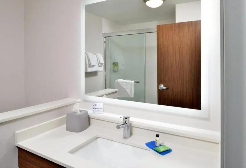 スタンダードルーム, Holiday Inn Express Orlando   South Park By Ihg