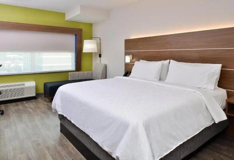 キングサイズベッドのスタンダードルーム, Holiday Inn Express Orlando   South Park By Ihg