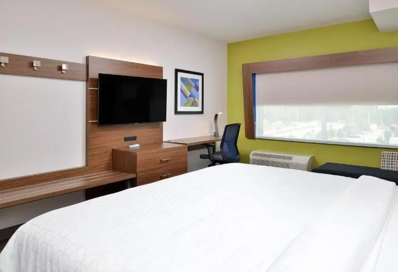 キングサイズベッドのスタンダードルーム, Holiday Inn Express Orlando   South Park By Ihg