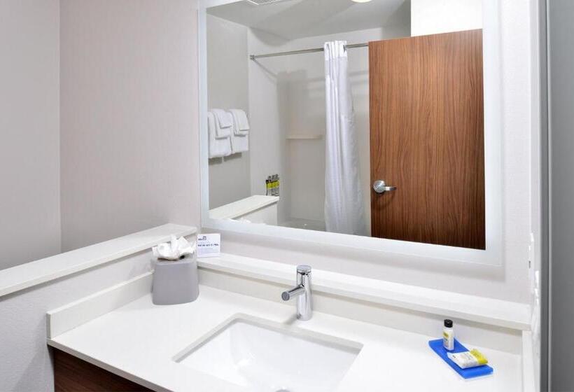 带大床的标准间, Holiday Inn Express Orlando   South Park, An Ihg
