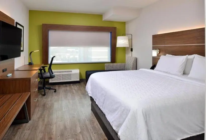キングサイズベッドのスタンダードルーム, Holiday Inn Express Orlando   South Park By Ihg