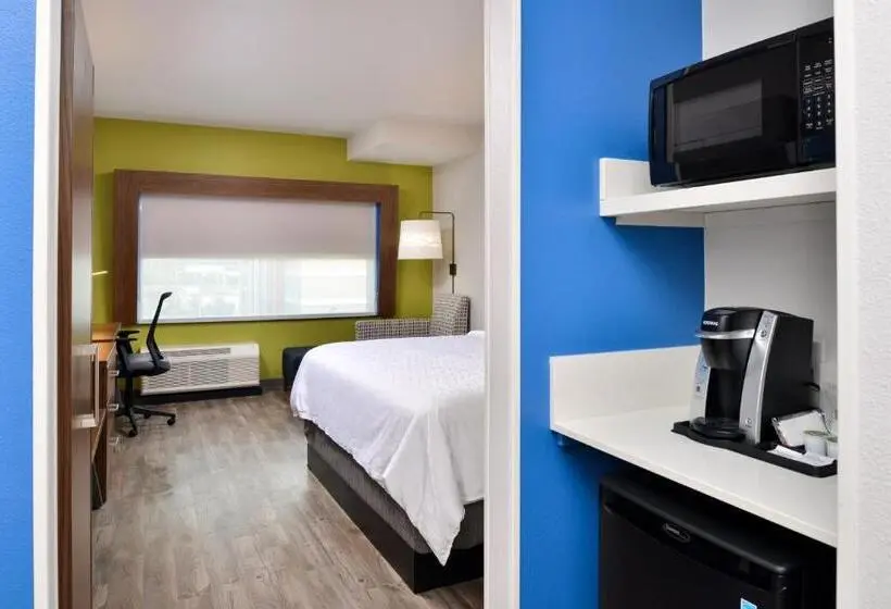 キングサイズベッドのスタンダードルーム, Holiday Inn Express Orlando   South Park By Ihg