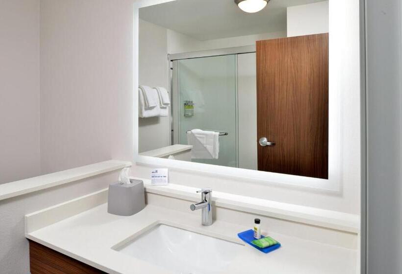 Стандартный Номер Кровать Кинг, Holiday Inn Express Orlando South Park, An Ihg