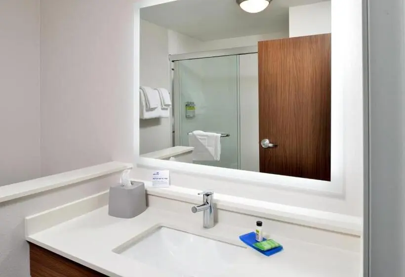 キングサイズベッドのスイートルーム, Holiday Inn Express Orlando   South Park By Ihg