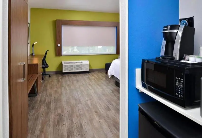 身障者適用キングサイズベッドルーム, Holiday Inn Express Orlando   South Park By Ihg