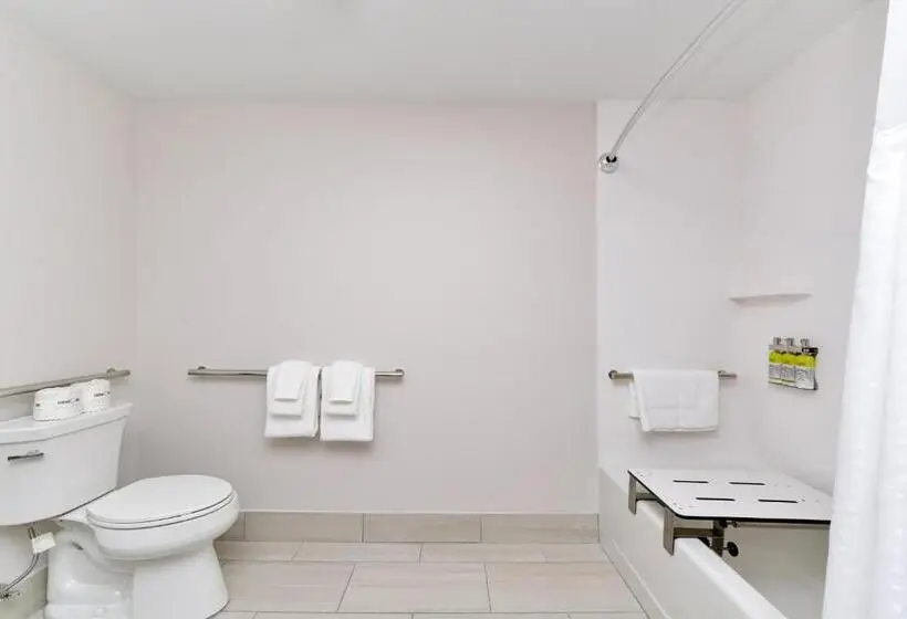 身障者適用キングサイズベッドルーム, Holiday Inn Express Orlando   South Park By Ihg