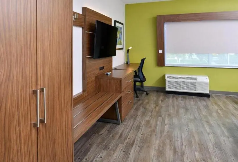 身障者適用キングサイズベッドルーム, Holiday Inn Express Orlando   South Park By Ihg