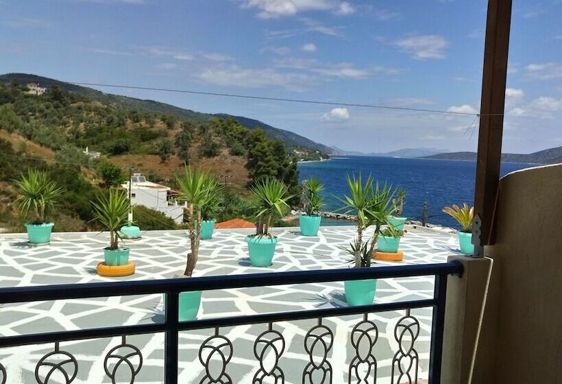 اتاق عادی, Agnanti