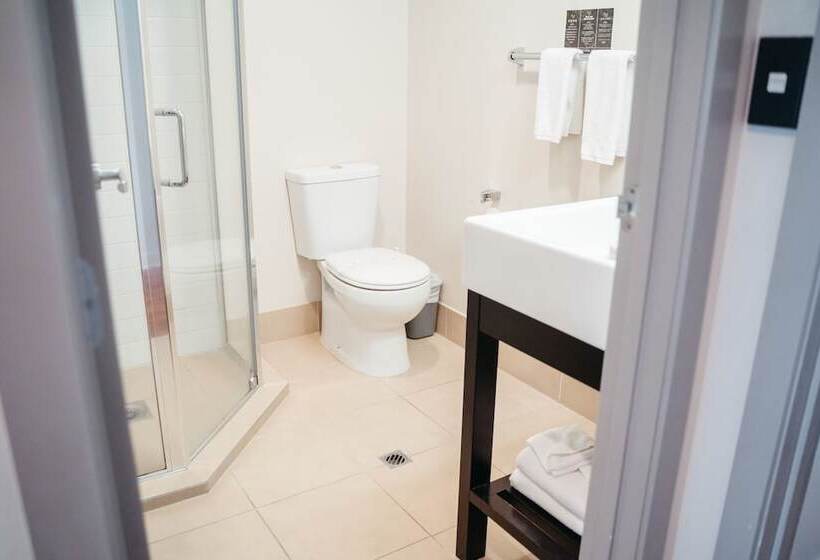 דירת חדר, Auckland City Hotel   Hobson St