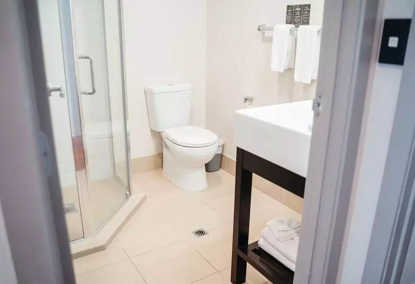آپارتمان 1 خوابه, Auckland City Hotel   Hobson St