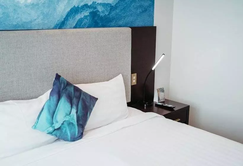 آپارتمان 1 خوابه, Auckland City Hotel   Hobson St
