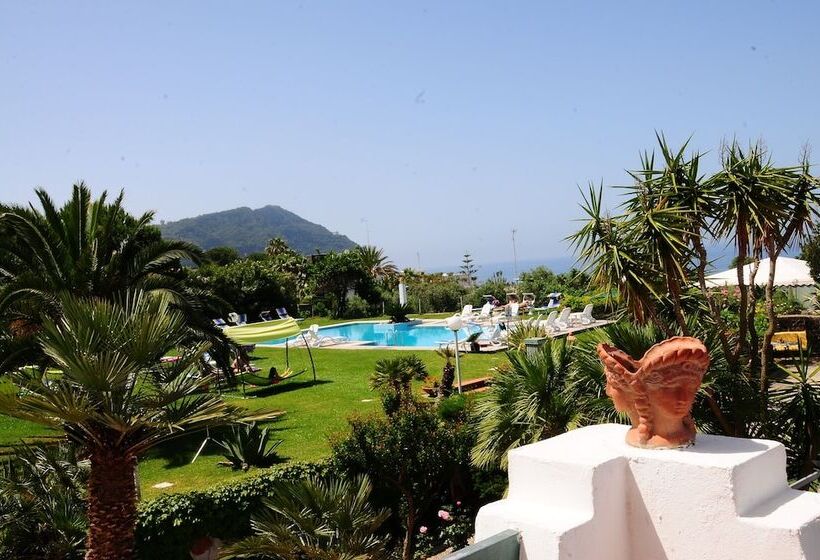 ガーデンビュースタンダードルーム, Belsole