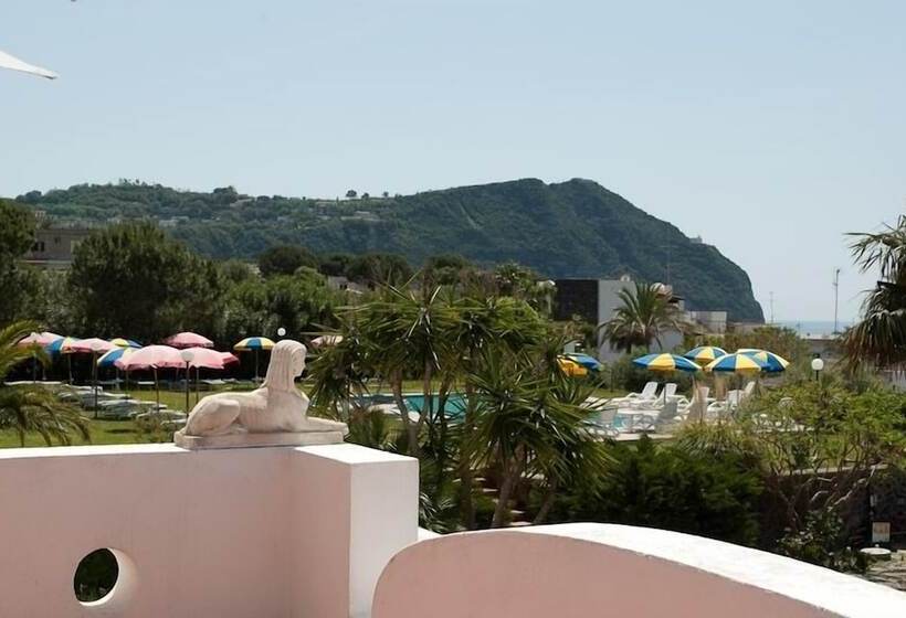 ガーデンビュースタンダードルーム, Belsole