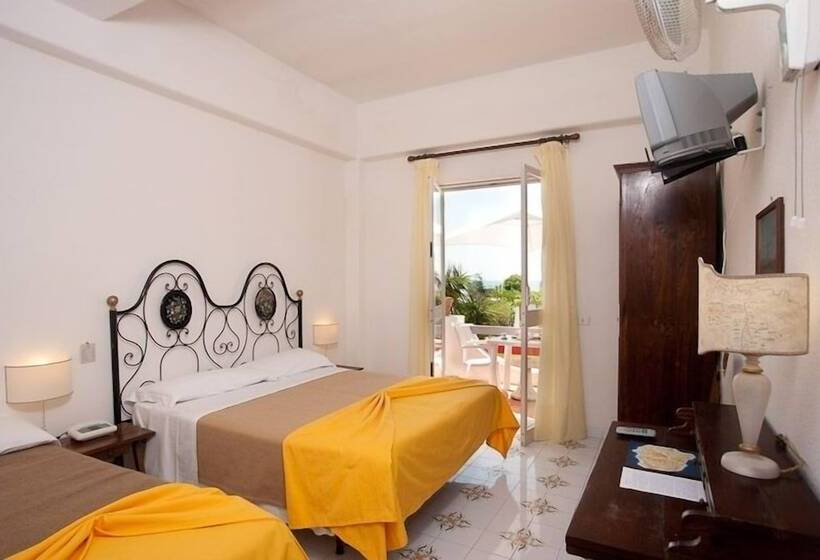 スタンダードトリプルルーム, Belsole