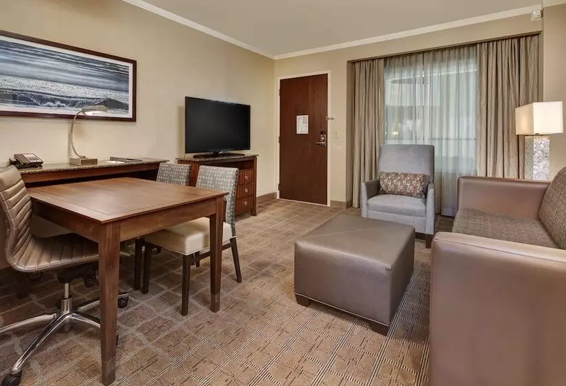 Premium Suite