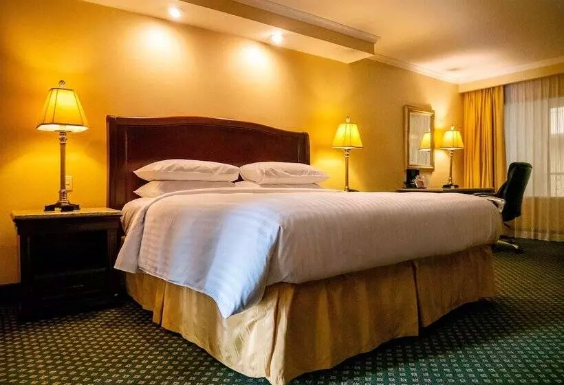 Standard-huone, Marriott Torreon