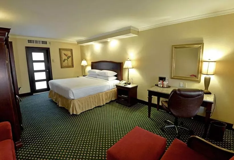 Executive-huone, Marriott Torreon