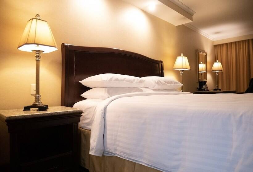 行政房间, Marriott Torreon