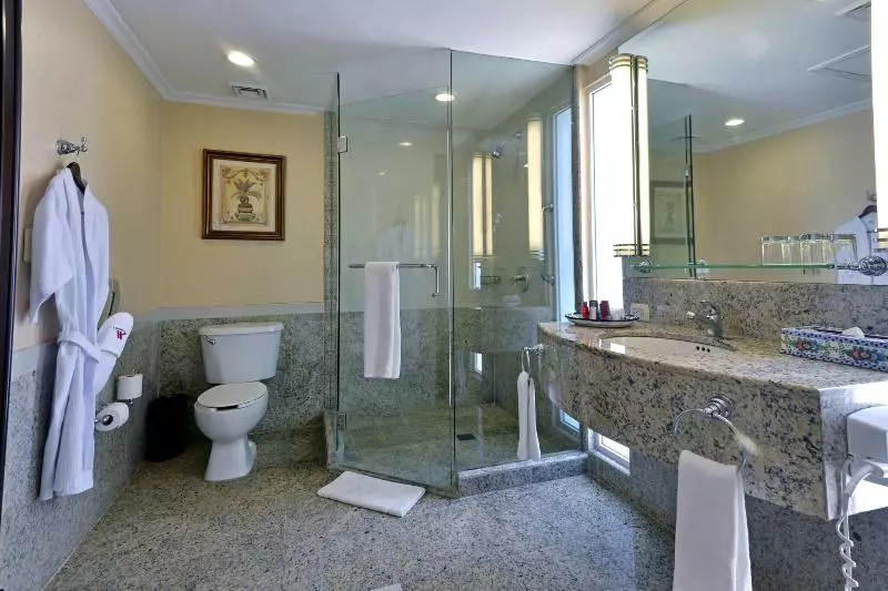 Standard-huone King-vuode, Marriott Torreon