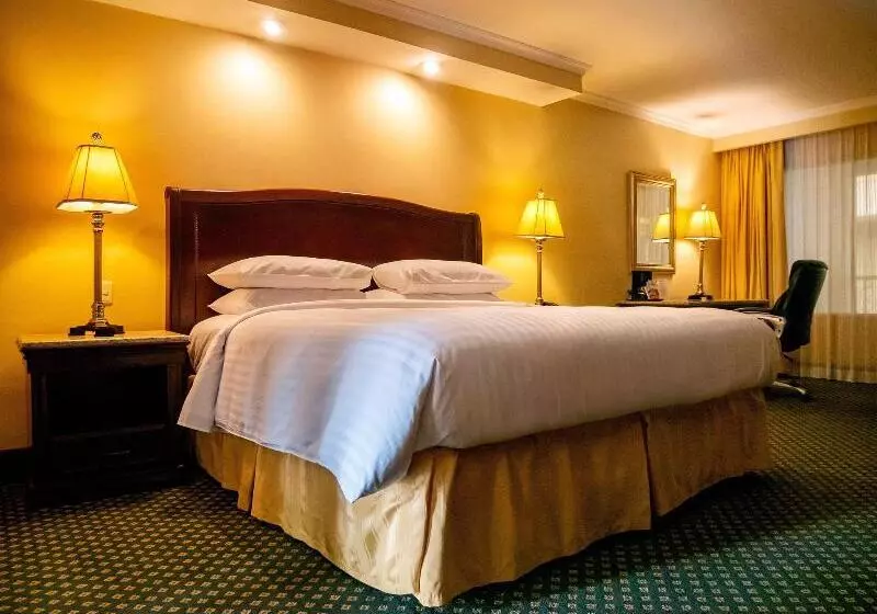 Standard-huone King-vuode, Marriott Torreon