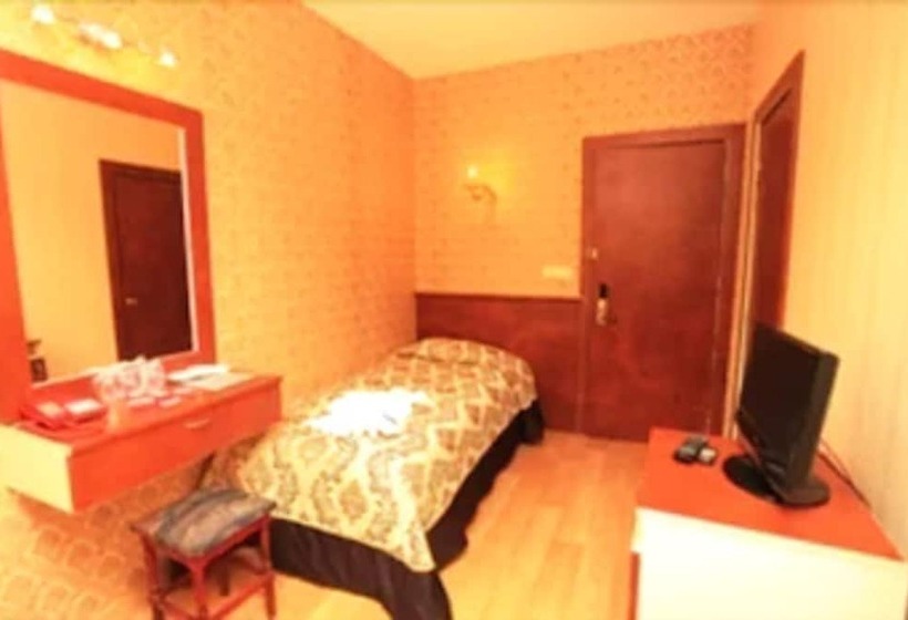 スタンダードシングルルーム, Turvan