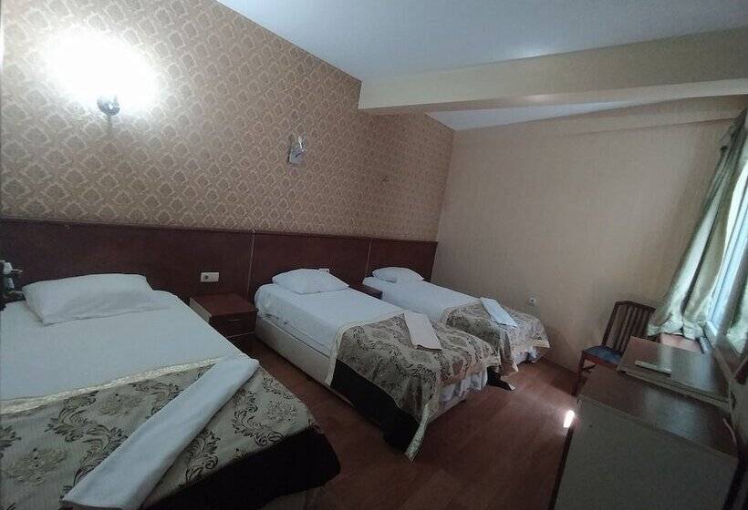 スタンダードトリプルルーム, Turvan