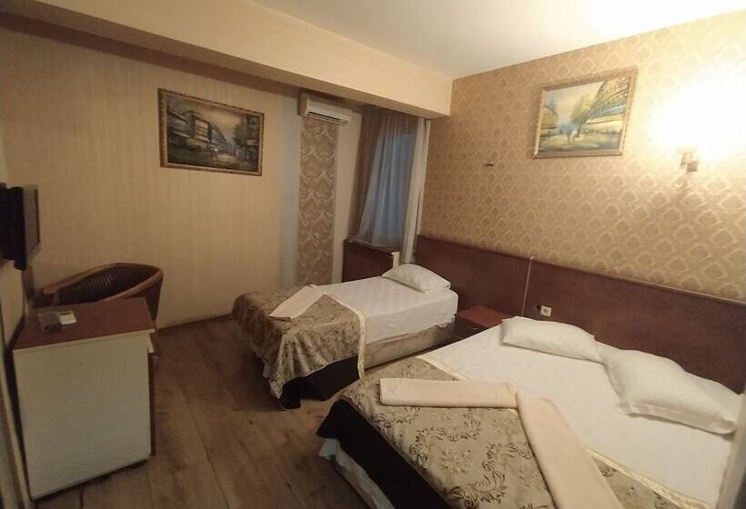 スタンダードトリプルルーム, Turvan