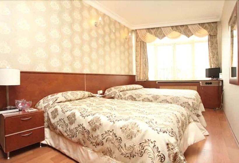 スタンダードトリプルルーム, Turvan