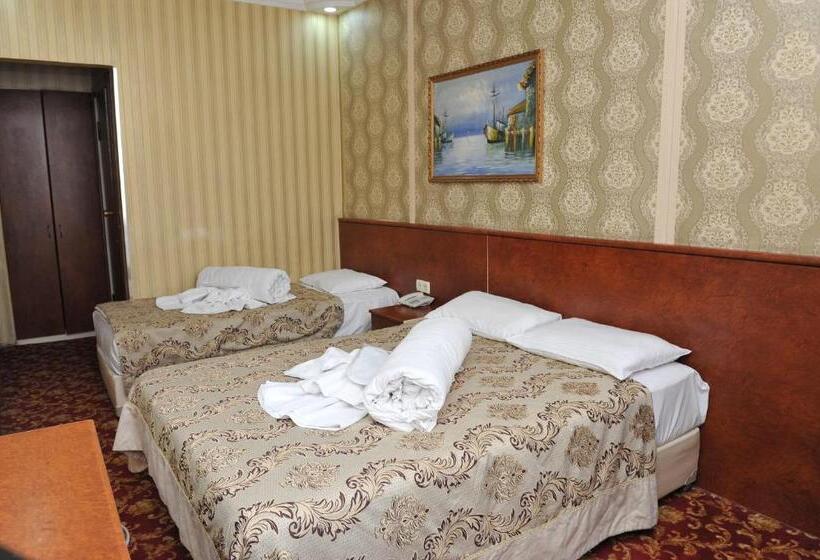 スタンダードルーム, Turvan