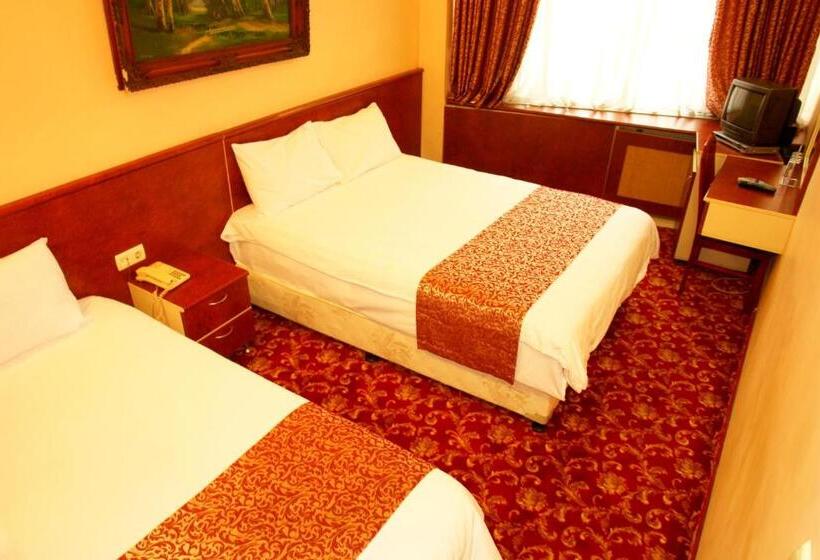 スタンダードトリプルルーム, Turvan