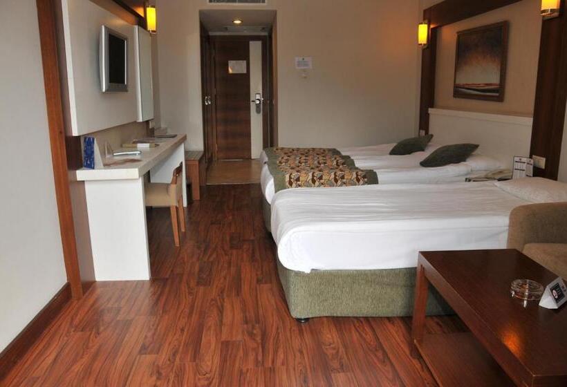 Номер Стандарт Вид на Бассейн, Viking Star