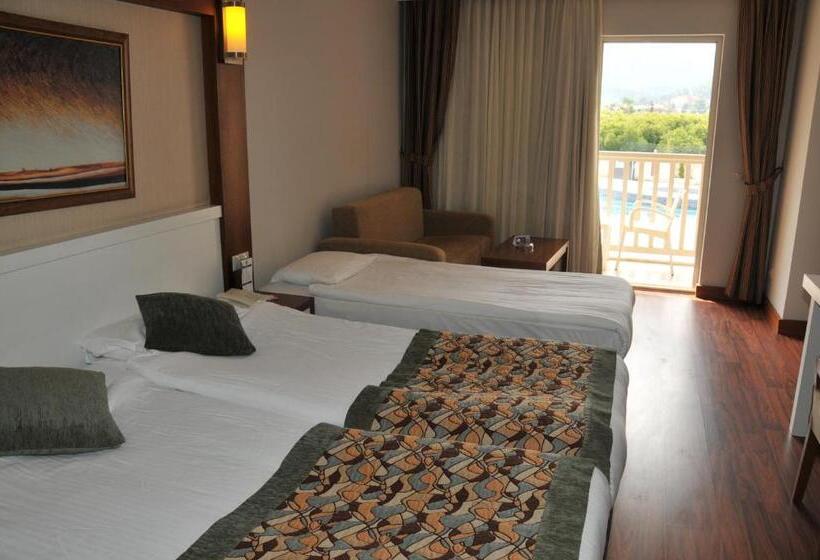 Standard Room Pool View, Viking Star